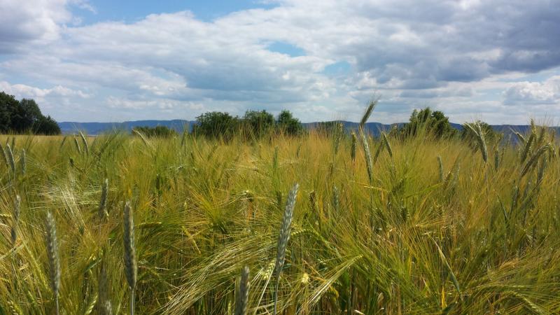 Blickrichtung Hohenstaufen